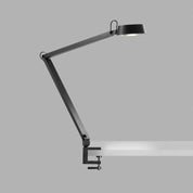 LIGHT POINT DARK T2 / T1 / F1
