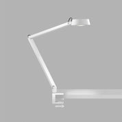 LIGHT POINT DARK T2 / T1 / F1
