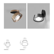 LIGHT POINT VINTAGE 1