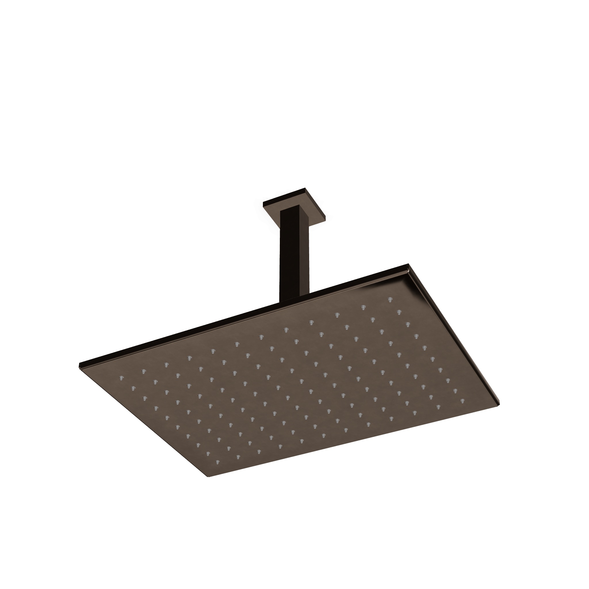 TREEMME ARCHÉ CEILING SHOWER HEAD