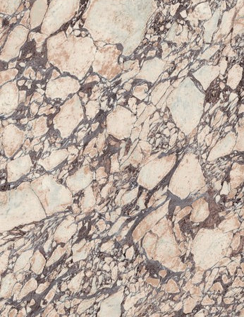 20220.jpg