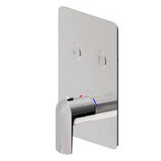 NEWFORM DELTA MIX TERMOSTATICO A DUE USCITE