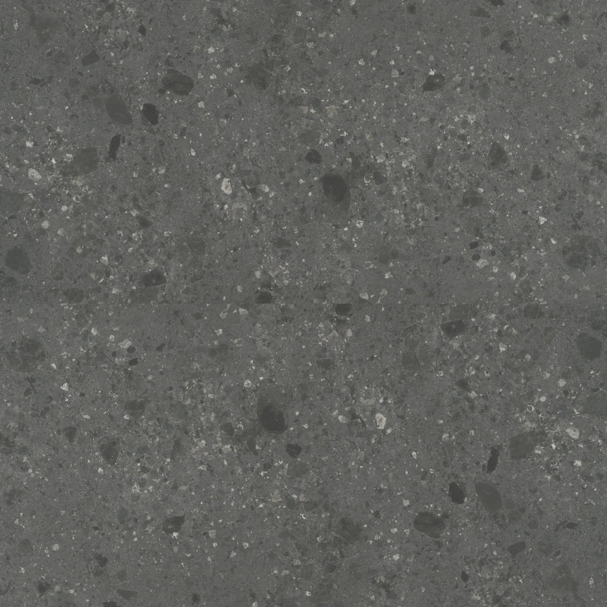 ARIOSTEA FRAGMENTA NERO OMBRATO