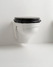 DEVON&DEVON WESTMINSTER WALL-HUNG TOILET