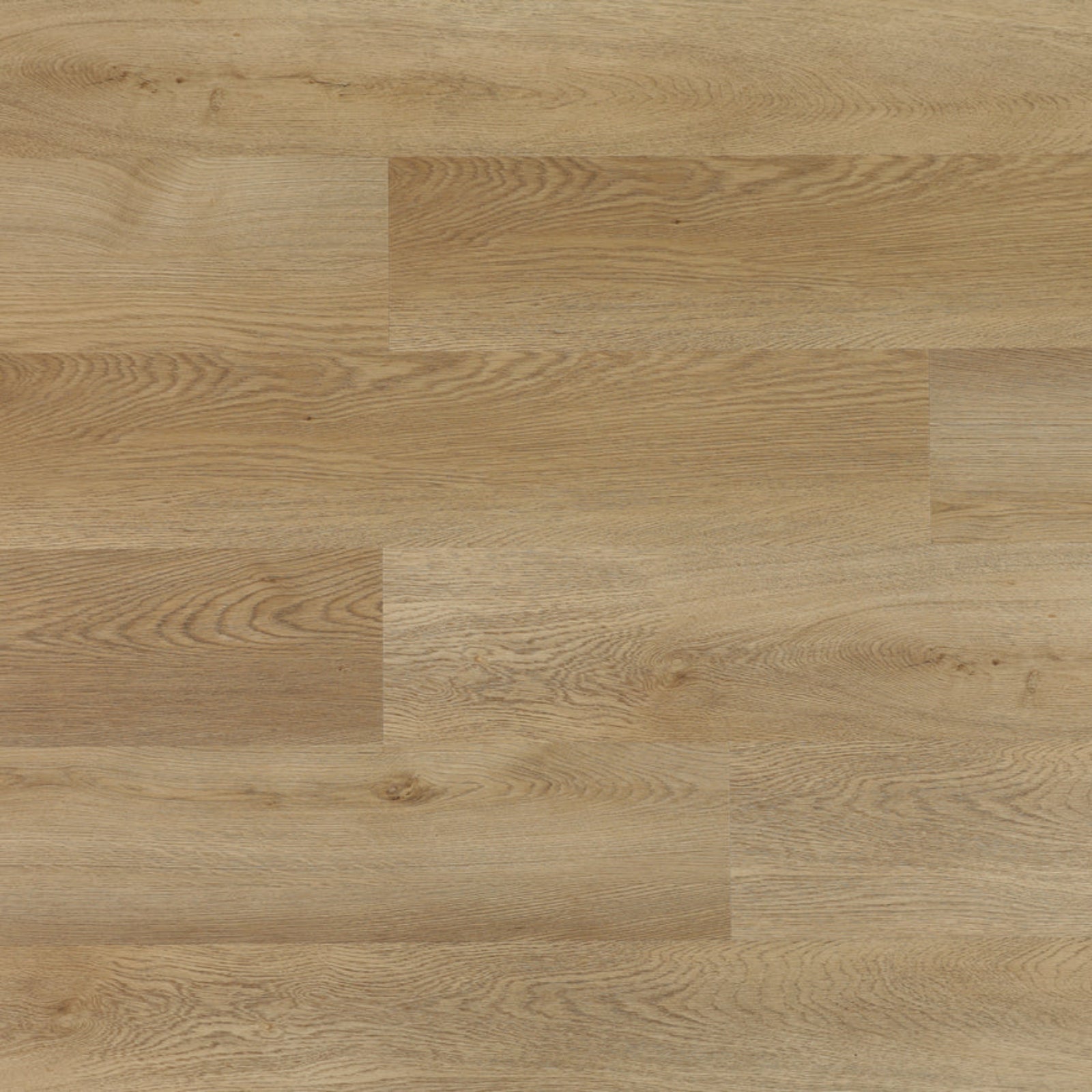 DUNE ROVERE TOASTED